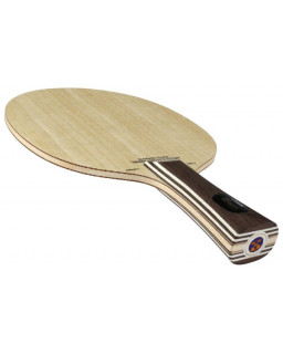 BOIS DE TENNIS DE TABLE STIGA INFINITY VPS 5