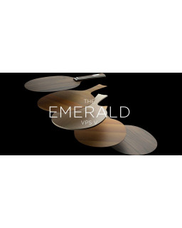 BOIS DE TENNIS DE TABLE STIGA EMERALD VPS V 