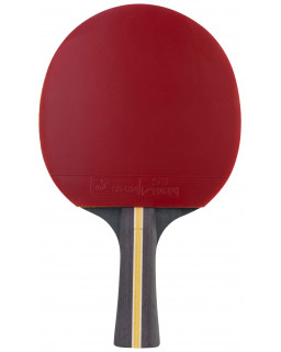 RAQUETTE DE PING PONG STIGA TRINITY 3 ETOILES