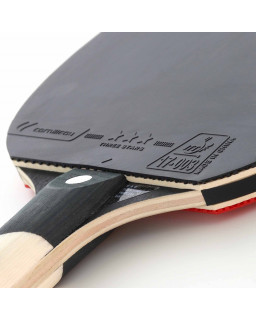CORNILLEAU PERFORM 500 - RAQUETTE DE TENNIS DE TABLE
