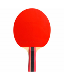 CORNILLEAU SPORT 300 - RAQUETTE DE TENNIS DE TABLE