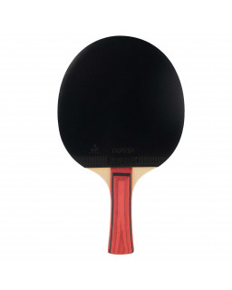 RAQUETTE DE PING PONG JOOLA TEAM JUNIOR
