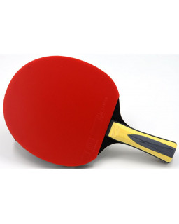 RAQUETTE DE PING PONG SUNFLEX STRIKE