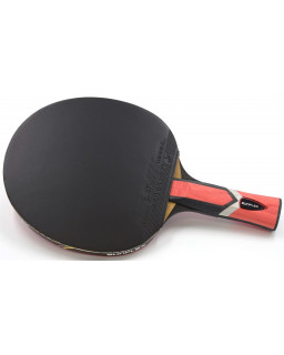 RAQUETTE DE PING PONG SUNFLEX LEGEND