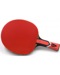 RAQUETTE DE PING PONG SUNFLEX LEGEND