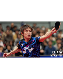 BOIS DE TENNIS DE TABLE VICTAS KOKI NIWA