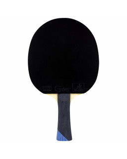 RAQUETTE DE TENNIS DE TABLE TIBHAR FELIX LEBRUN MASTER