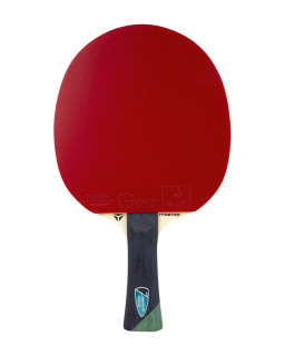 RAQUETTE DE TENNIS DE TABLE TIBHAR ALEXIS LEBRUN MASTER