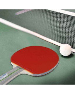 RAQUETTE DE TENNIS DE TABLE GEWO RAVE