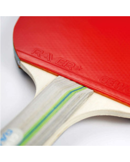 RAQUETTE DE TENNIS DE TABLE GEWO RAVE