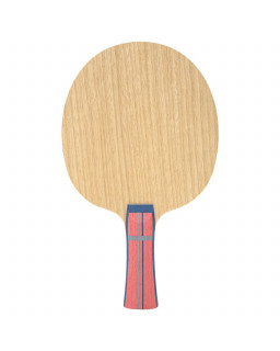 BOIS DE TENNIS DE TABLE GEWO CELEXXIS ALLROUND