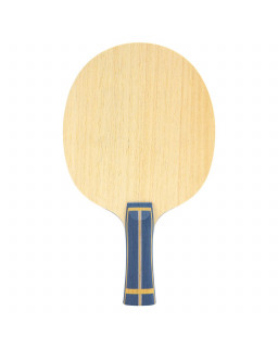 BOIS DE TENNIS DE TABLE GEWO MATRIXX ARC OFF