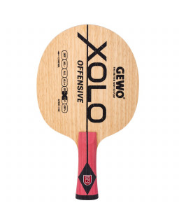 BOIS DE TENNIS DE TABLE GEWO XOLO OFF