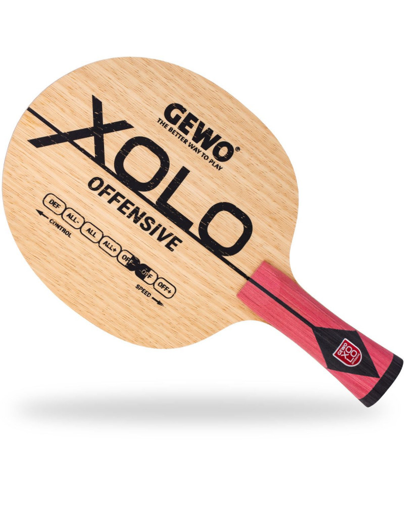BOIS DE TENNIS DE TABLE GEWO XOLO OFF