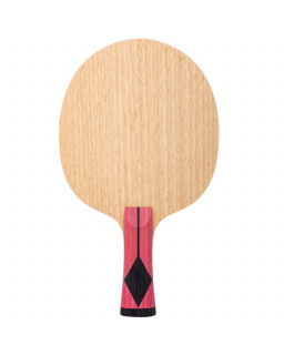 BOIS DE TENNIS DE TABLE GEWO XOLO OFF