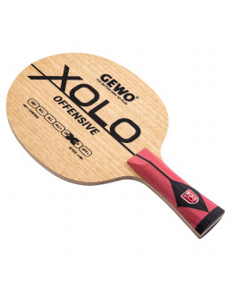 BOIS DE TENNIS DE TABLE GEWO XOLO OFF