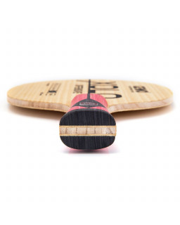 BOIS DE TENNIS DE TABLE GEWO XOLO OFF