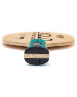 BOIS DE TENNIS DE TABLE GEWO XOLO CARBON