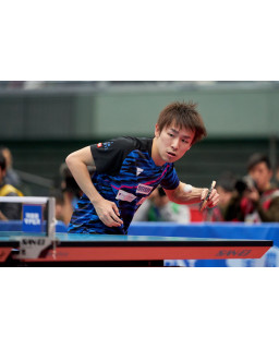 BOIS DE TENNIS DE TABLE VICTAS KOKI NIWA
